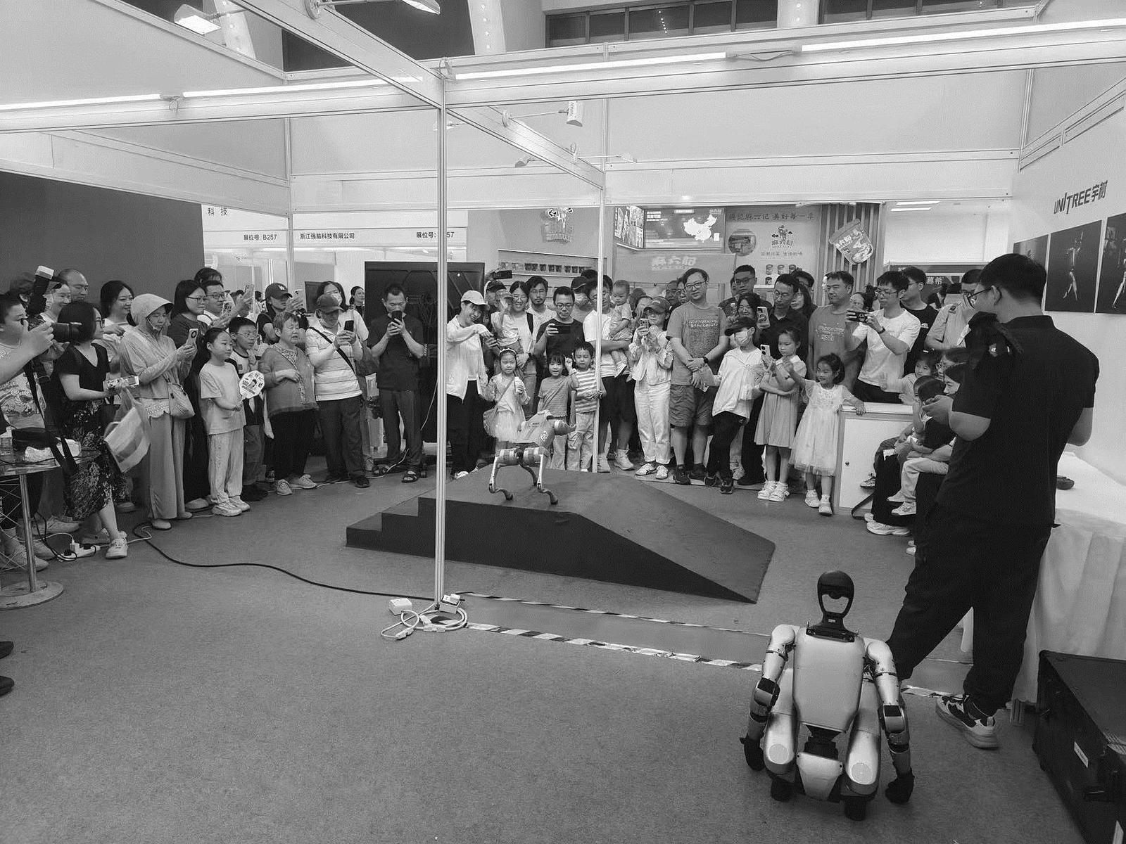 国际商报：以“美好”为名，这场展会映出消费升级模样